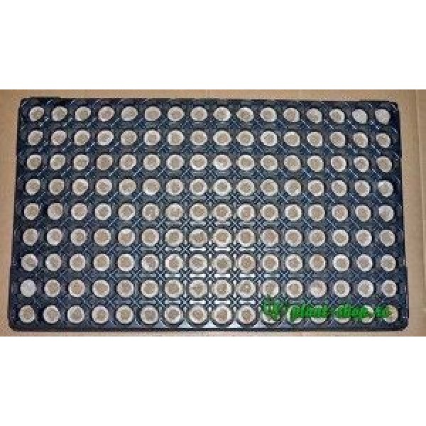 Jiffy-7 24mm 144 Hole Tray (53x31cm) Filled