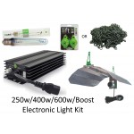 Electronic All You Need 8 Plant Complete Grow Kit