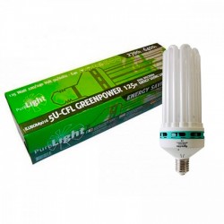 125w PureLight Green Power CFL Lamp